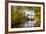 Pulteney Bridge Reflected in the River Avon, Bath, Somerset, England, United Kingdom-Billy Stock-Framed Photographic Print