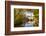 Pulteney Bridge Reflected in the River Avon, Bath, Somerset, England, United Kingdom-Billy Stock-Framed Photographic Print