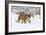 Puma in Snow-null-Framed Photographic Print