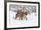 Puma in Snow-null-Framed Photographic Print