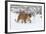 Puma in Snow-null-Framed Photographic Print