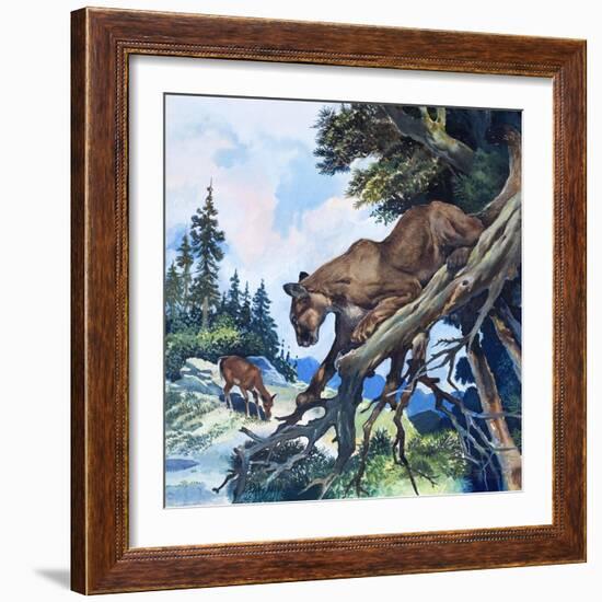 Puma on the Prowl, 1963-G. W Backhouse-Framed Giclee Print