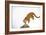 Puma-null-Framed Photographic Print