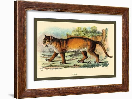 Puma-Sir William Jardine-Framed Art Print