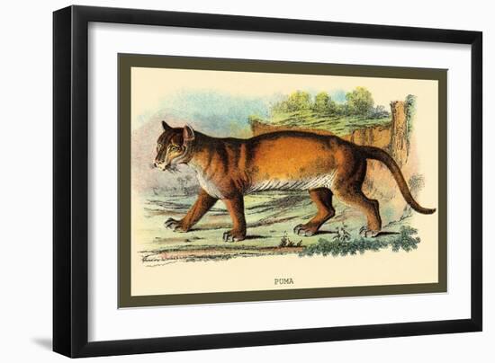Puma-Sir William Jardine-Framed Art Print