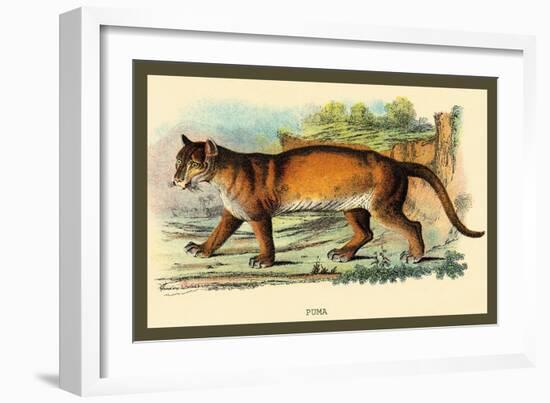 Puma-Sir William Jardine-Framed Art Print