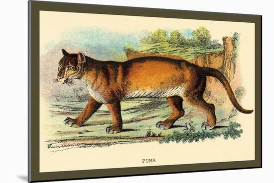 Puma-Sir William Jardine-Mounted Art Print