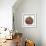 Pumpkin 1-Erin Clark-Framed Giclee Print displayed on a wall