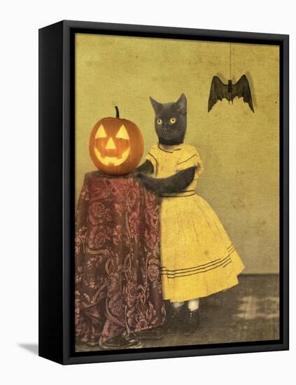 Pumpkin and Cat-J Hovenstine Studios-Framed Premier Image Canvas