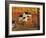 Pumpkin Barn Autumn Folk Art Cheryl Bartley-Cheryl Bartley-Framed Giclee Print