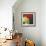 Pumpkin Blossom, 2002-Pedro Diego Alvarado-Framed Giclee Print displayed on a wall