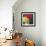 Pumpkin Blossom, 2002-Pedro Diego Alvarado-Framed Giclee Print displayed on a wall