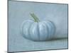 Pumpkin I No Leaves-Wellington Studio-Mounted Art Print