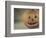 Pumpkin Man-Jennifer Kennard-Framed Photographic Print