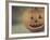 Pumpkin Man-Jennifer Kennard-Framed Photographic Print