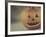 Pumpkin Man-Jennifer Kennard-Framed Photographic Print