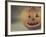 Pumpkin Man-Jennifer Kennard-Framed Photographic Print