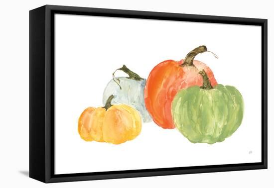 Pumpkin Menagerie I-Chris Paschke-Framed Stretched Canvas