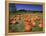 Pumpkin Patch, CA-Mitch Diamond-Framed Premier Image Canvas