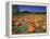 Pumpkin Patch, CA-Mitch Diamond-Framed Premier Image Canvas