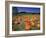 Pumpkin Patch, CA-Mitch Diamond-Framed Photographic Print