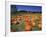 Pumpkin Patch, CA-Mitch Diamond-Framed Photographic Print