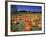 Pumpkin Patch, CA-Mitch Diamond-Framed Photographic Print