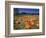 Pumpkin Patch, CA-Mitch Diamond-Framed Photographic Print