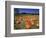 Pumpkin Patch, CA-Mitch Diamond-Framed Photographic Print