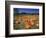 Pumpkin Patch, CA-Mitch Diamond-Framed Photographic Print