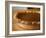 Pumpkin Pie-Katano Nicole-Framed Photo