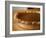 Pumpkin Pie-Katano Nicole-Framed Photo