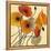 Pumpkin Poppies II-Shirley Novak-Framed Stretched Canvas