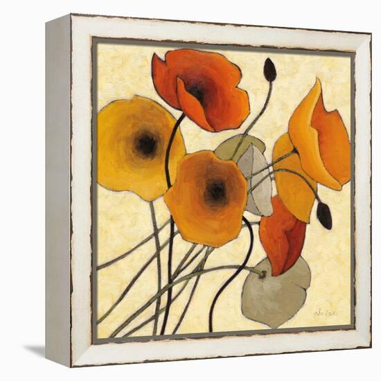 Pumpkin Poppies II-Shirley Novak-Framed Stretched Canvas