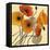 Pumpkin Poppies II-Shirley Novak-Framed Stretched Canvas