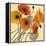 Pumpkin Poppies II-Shirley Novak-Framed Stretched Canvas