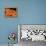 Pumpkin Smiles - Jack & Jill-Rachel Owings-Framed Premier Image Canvas displayed on a wall
