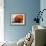 Pumpkin Still Life I-Erin McGee Ferrell-Framed Art Print displayed on a wall