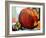 Pumpkin Still Life I-Erin McGee Ferrell-Framed Art Print