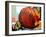 Pumpkin Still Life I-Erin McGee Ferrell-Framed Art Print