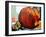 Pumpkin Still Life I-Erin McGee Ferrell-Framed Art Print