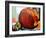 Pumpkin Still Life I-Erin McGee Ferrell-Framed Art Print