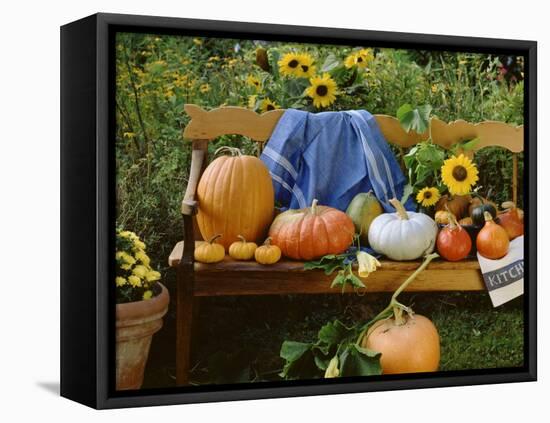 Pumpkin Still Life on Wooden Bench in Country Garden-null-Framed Premier Image Canvas