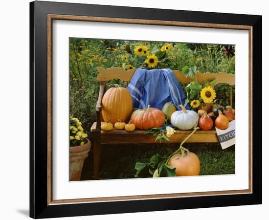 Pumpkin Still Life on Wooden Bench in Country Garden-null-Framed Photographic Print