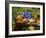 Pumpkin Still Life on Wooden Bench in Country Garden-null-Framed Photographic Print