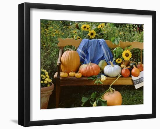 Pumpkin Still Life on Wooden Bench in Country Garden-null-Framed Photographic Print