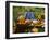 Pumpkin Still Life on Wooden Bench in Country Garden-null-Framed Photographic Print