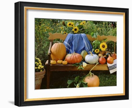 Pumpkin Still Life on Wooden Bench in Country Garden-null-Framed Photographic Print