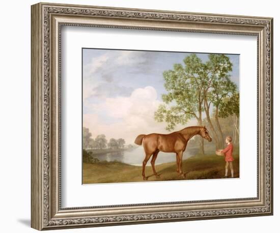 Pumpkin with a Stable-Lad, 1774 (Oil on Panel)-George Stubbs-Framed Giclee Print