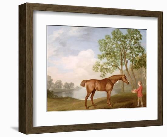 Pumpkin with a Stable-Lad, 1774 (Oil on Panel)-George Stubbs-Framed Giclee Print